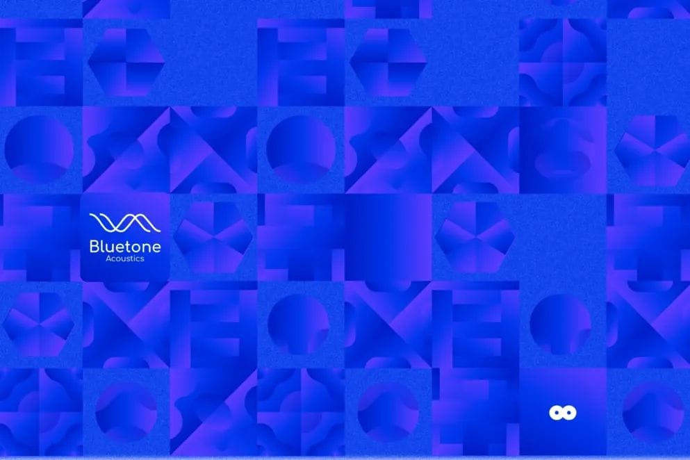 Bluetone Grafika Użytkowe Branding